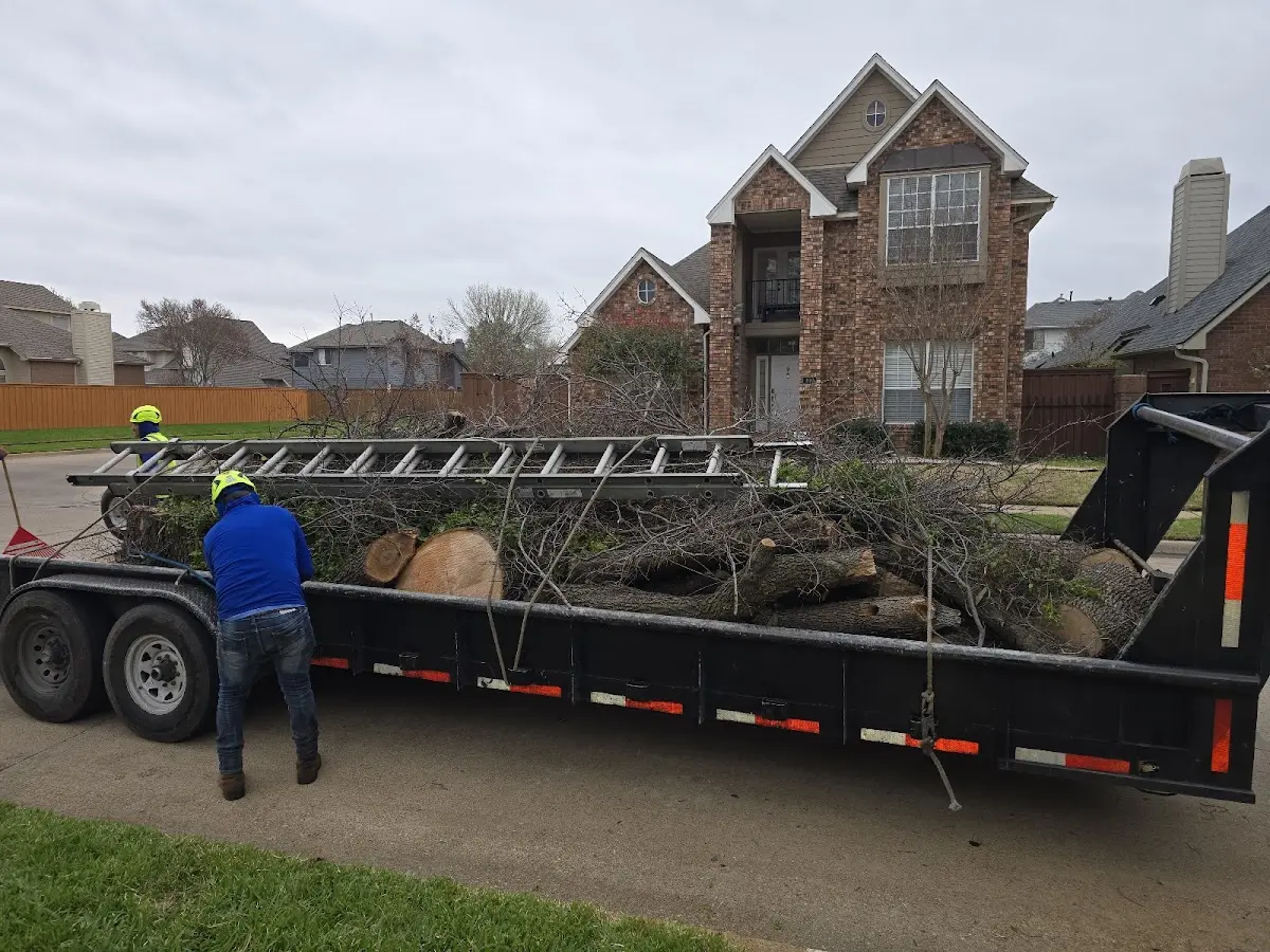 Expert Tree Pest Control with proper safety equipment in Rudyard
